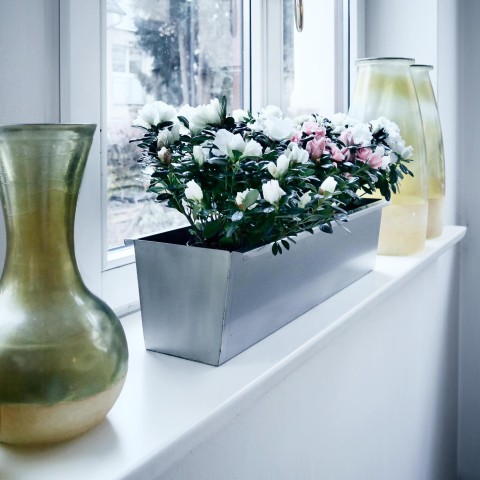 Produkabbildung Blumenkasten 60 cm